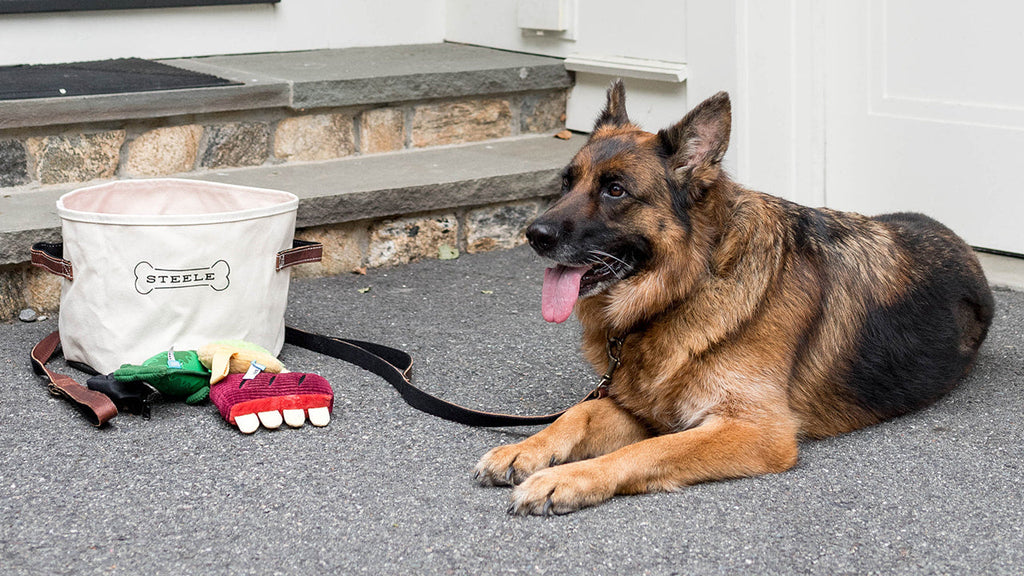 Dog Collection – Steele Canvas Basket Corp – Steele Canvas Basket Corp