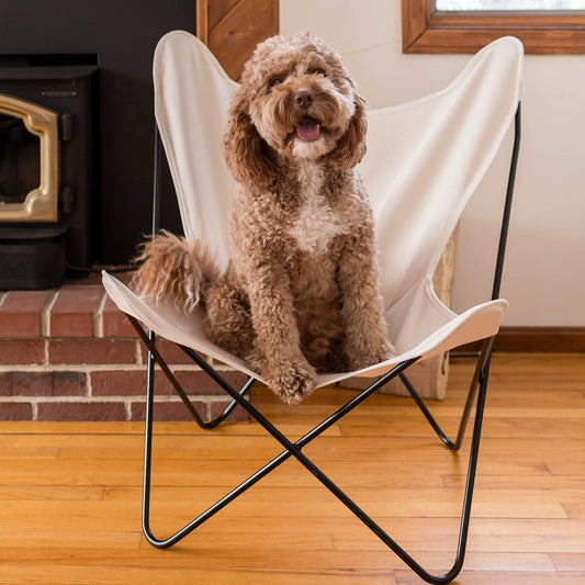 Steele Butterfly Sling Chair